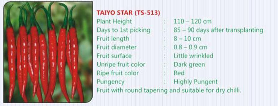 taiyo-seeds